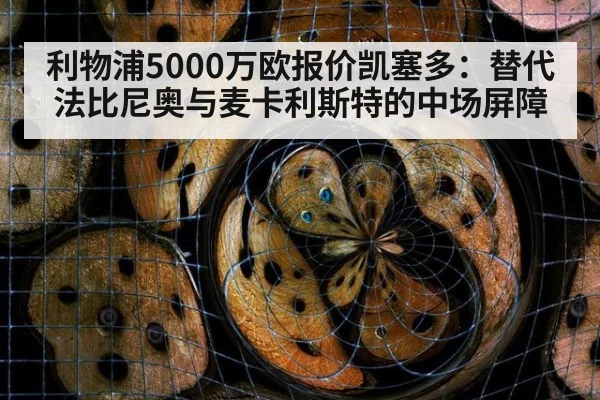 利物浦5000万欧报价凯塞多：替代法比尼奥与麦卡利斯特的中场屏障